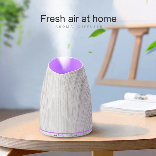 Aroma Diffuser Humidifier Household Air Purifier